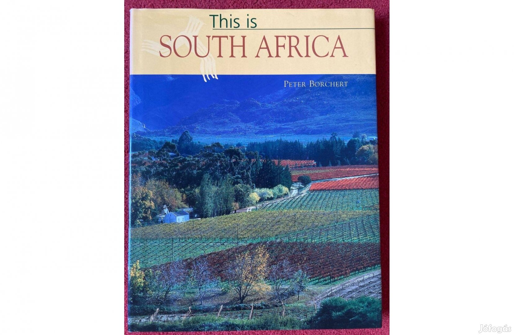 This is South Africa Angol nyelvű