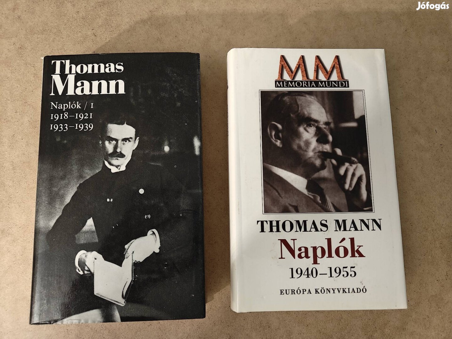 Thomas Mann Naplók