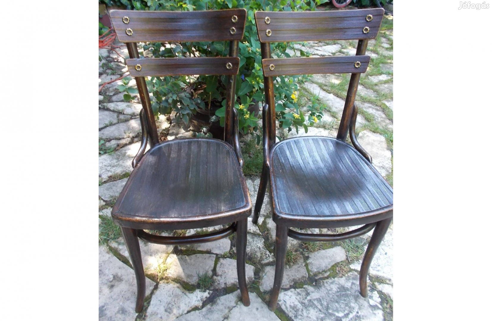 Thonet Style Chairs Bentwood székek párban, gyűjtőknek