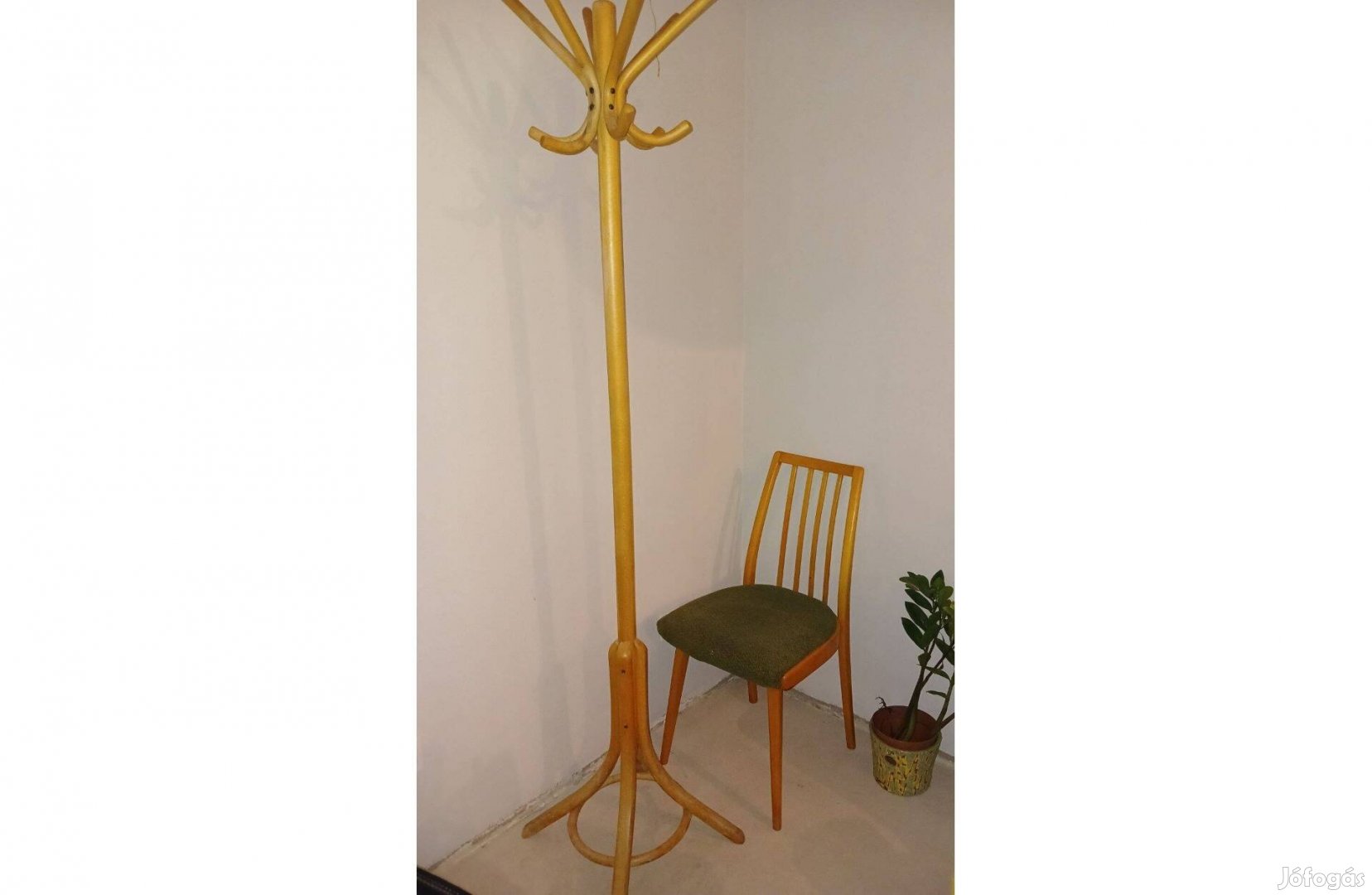 Thonet álló fogas