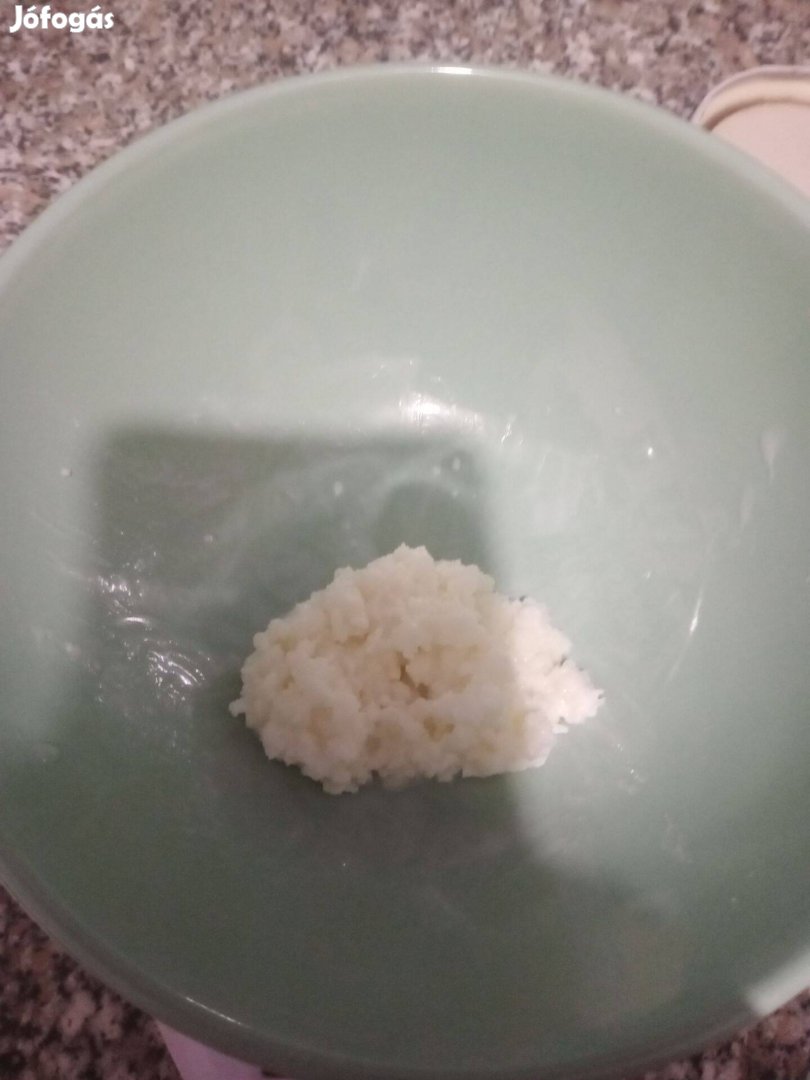 Tibeti kefirgomba , kefir gomba 2500ft/adag óbuda