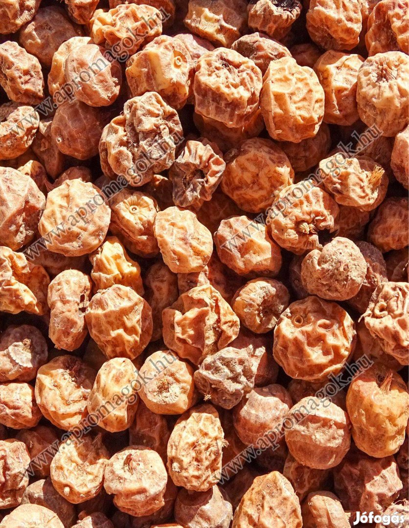 Tigrismogyoró Tigrismogyoró Standard Méretű Eladó Postai