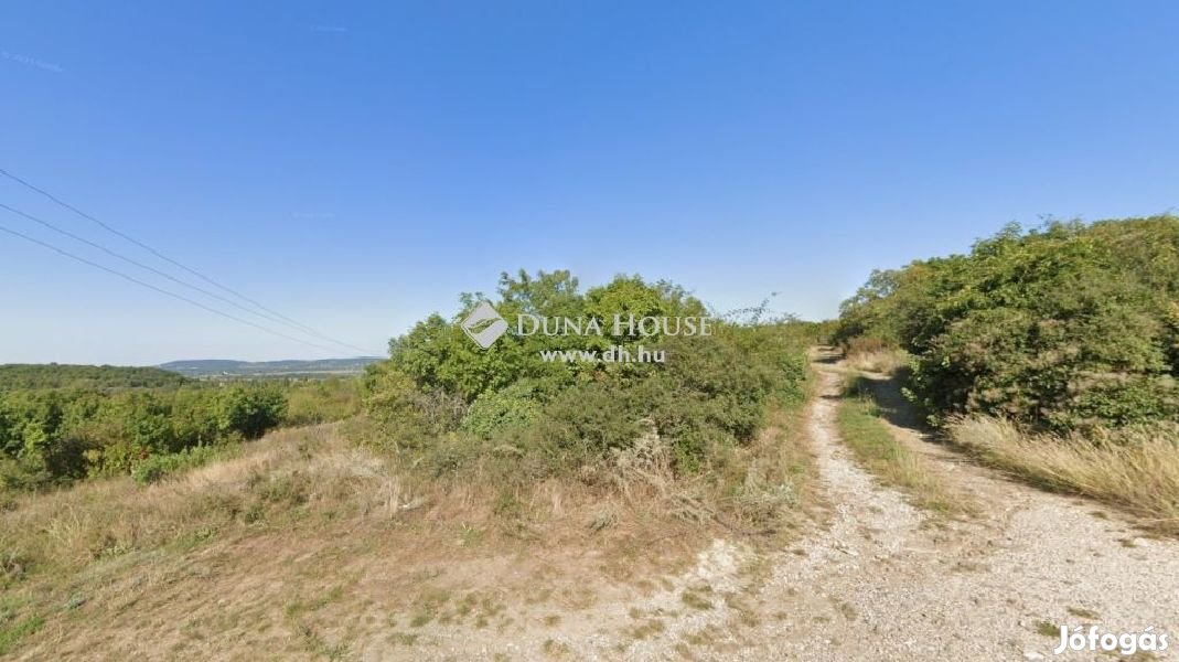 Tihanyi 1133 nm-es telek eladó