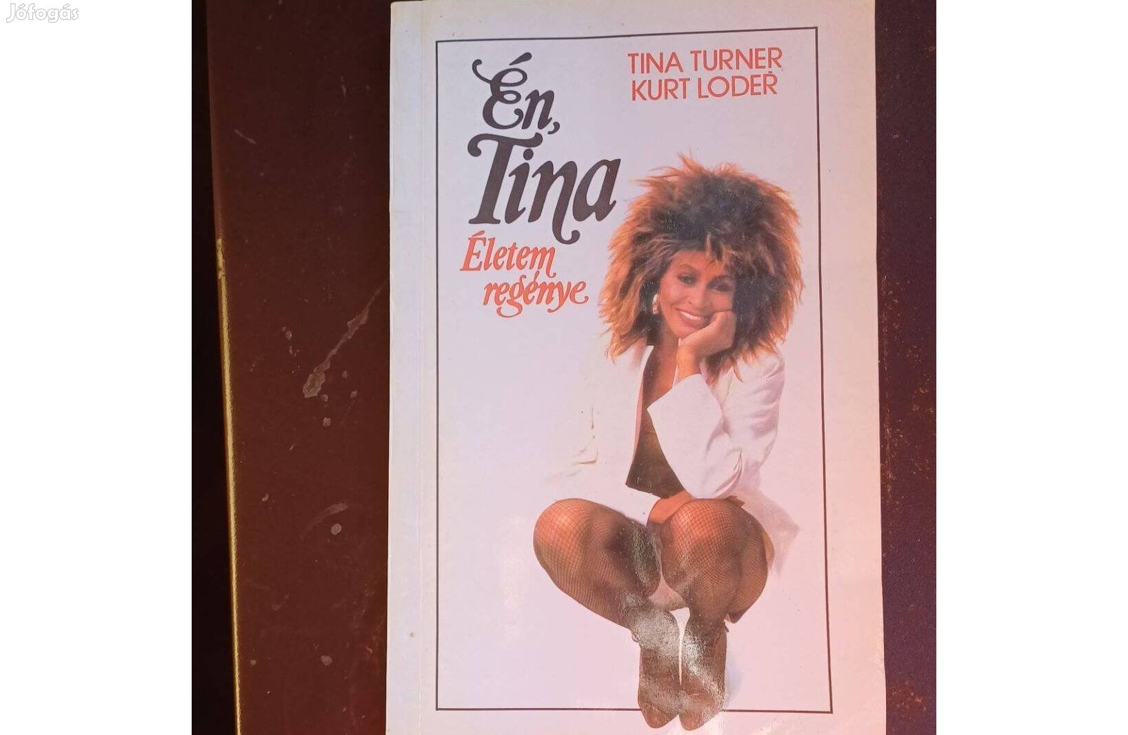 Tina Turner, Kurt Loder Én Tina Életem regénye