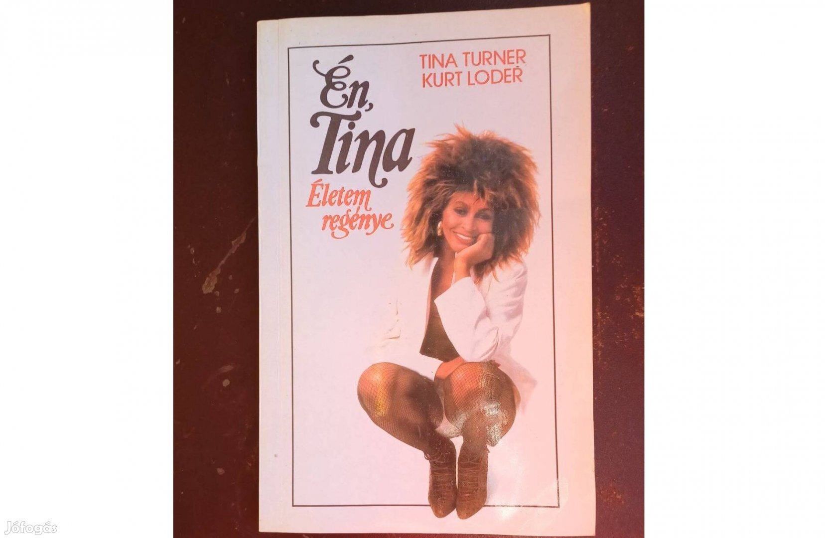 Tina Turner, Kurt Loder Én Tina Életem regénye