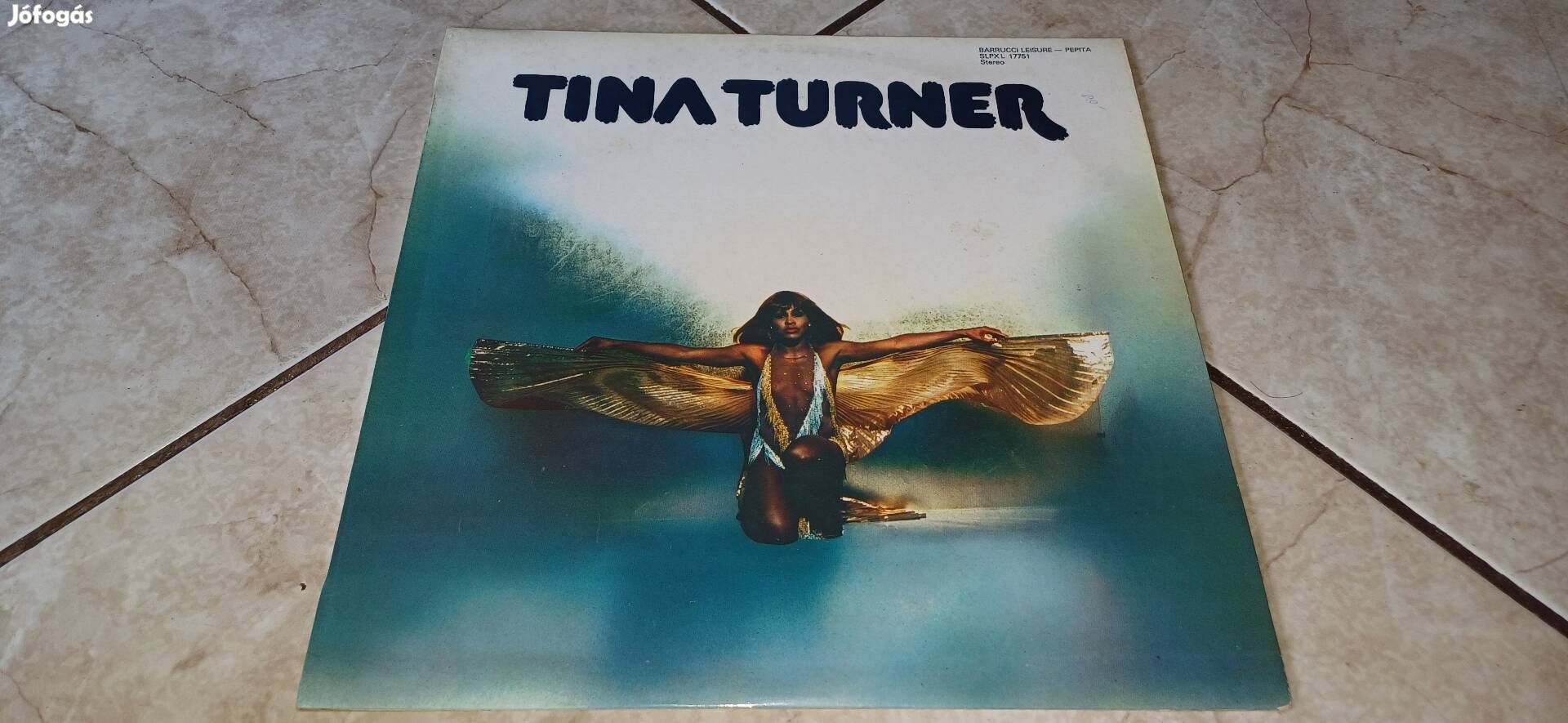 Tina Turner bakelit hanglemez