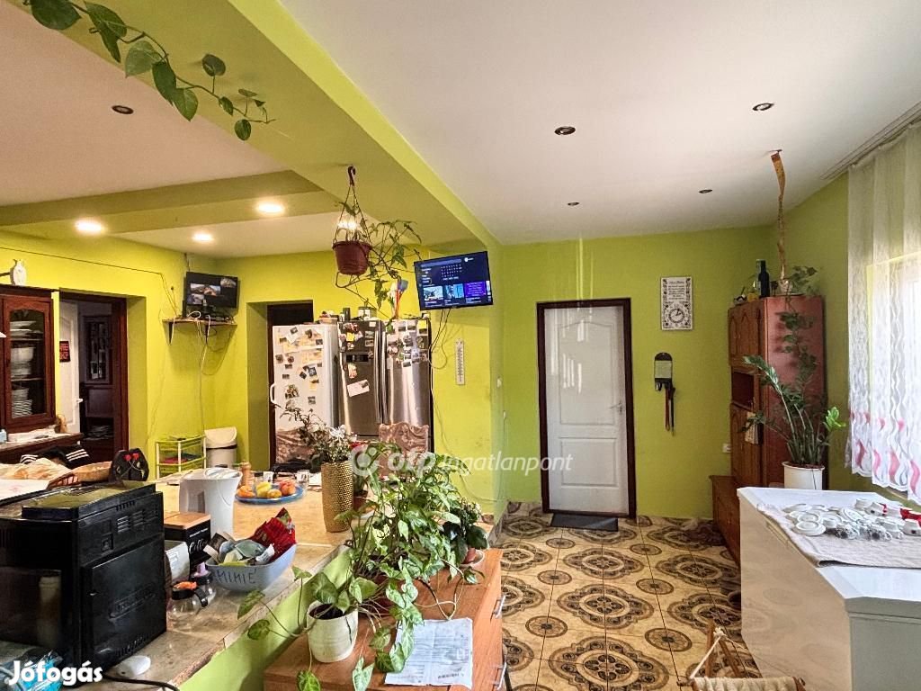 Tiszaföldvári 150 nm-es ház eladó