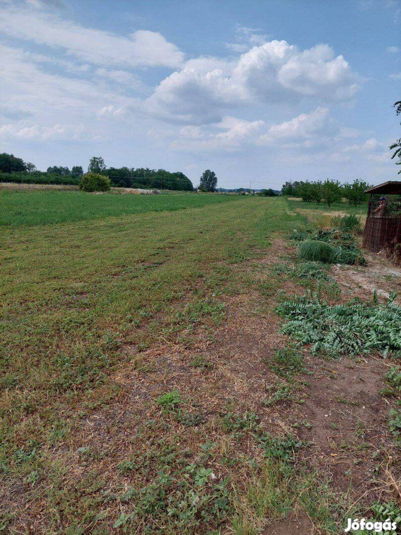 Tiszakécske, Fenyves utca, kivett beépítetlen terület