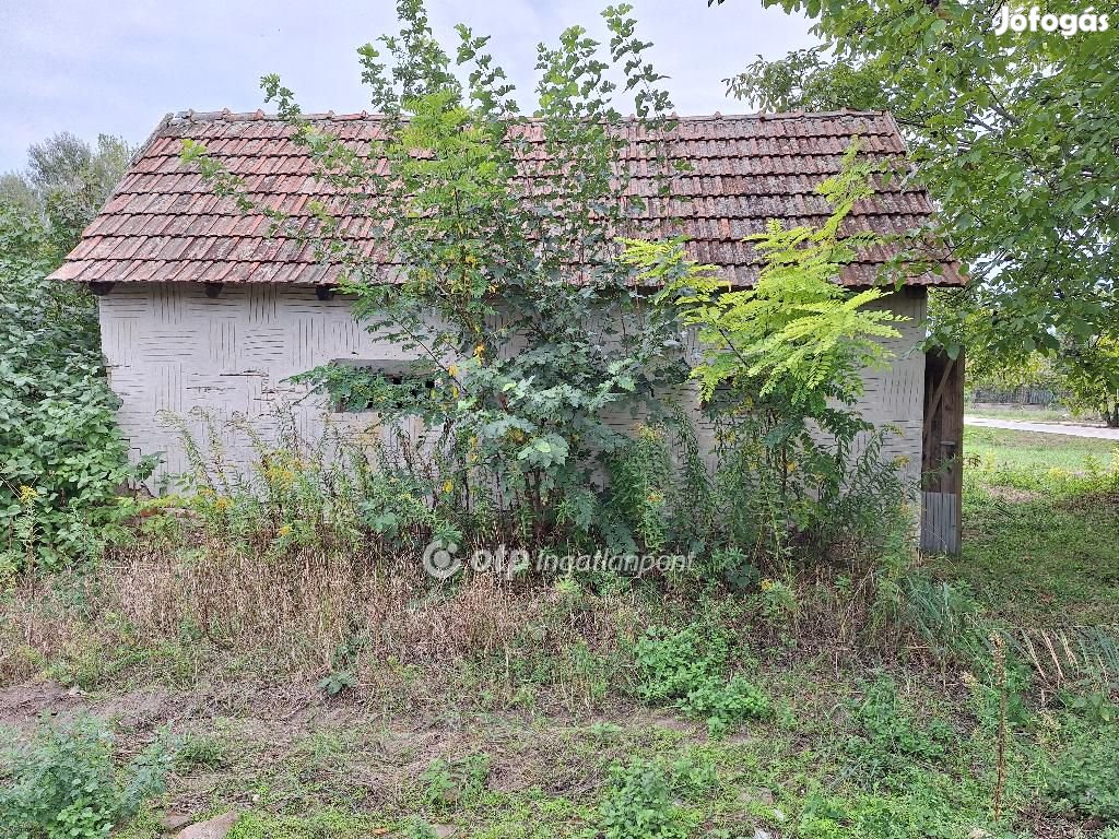 Tiszakécskei 1445 nm-es telek eladó