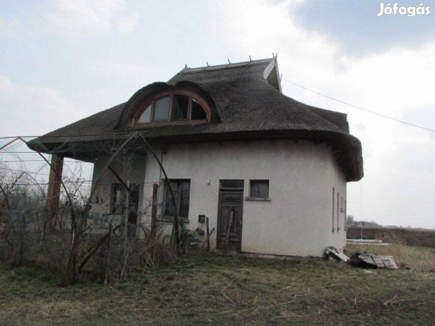 Tiszasüly külterületén Halastó eladó