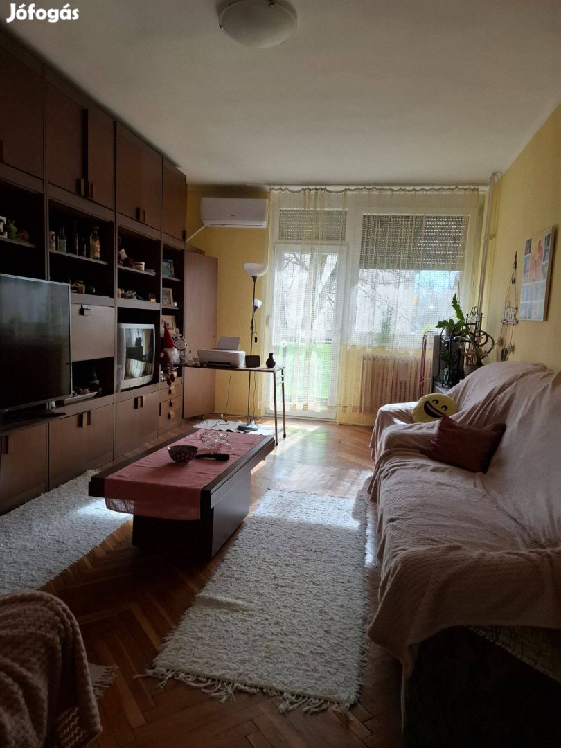 Tiszaújvárosi albérlet