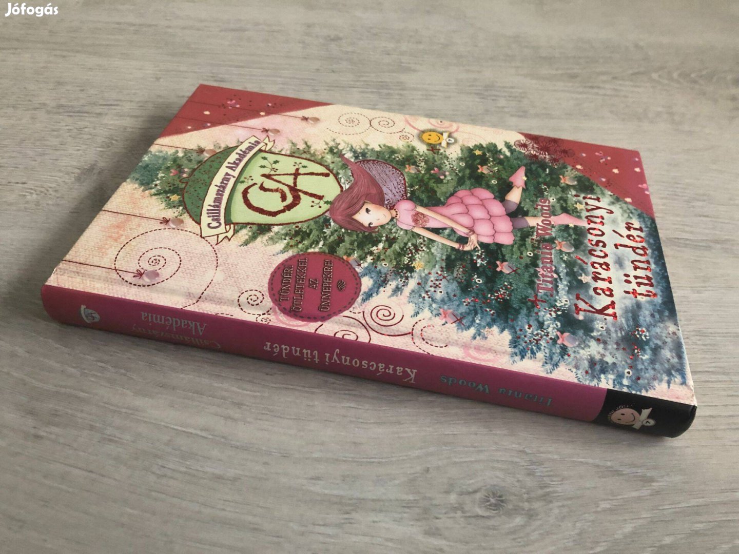 Titania Woods: Karácsonyi tündér (Csillámszárny Akadémia)
