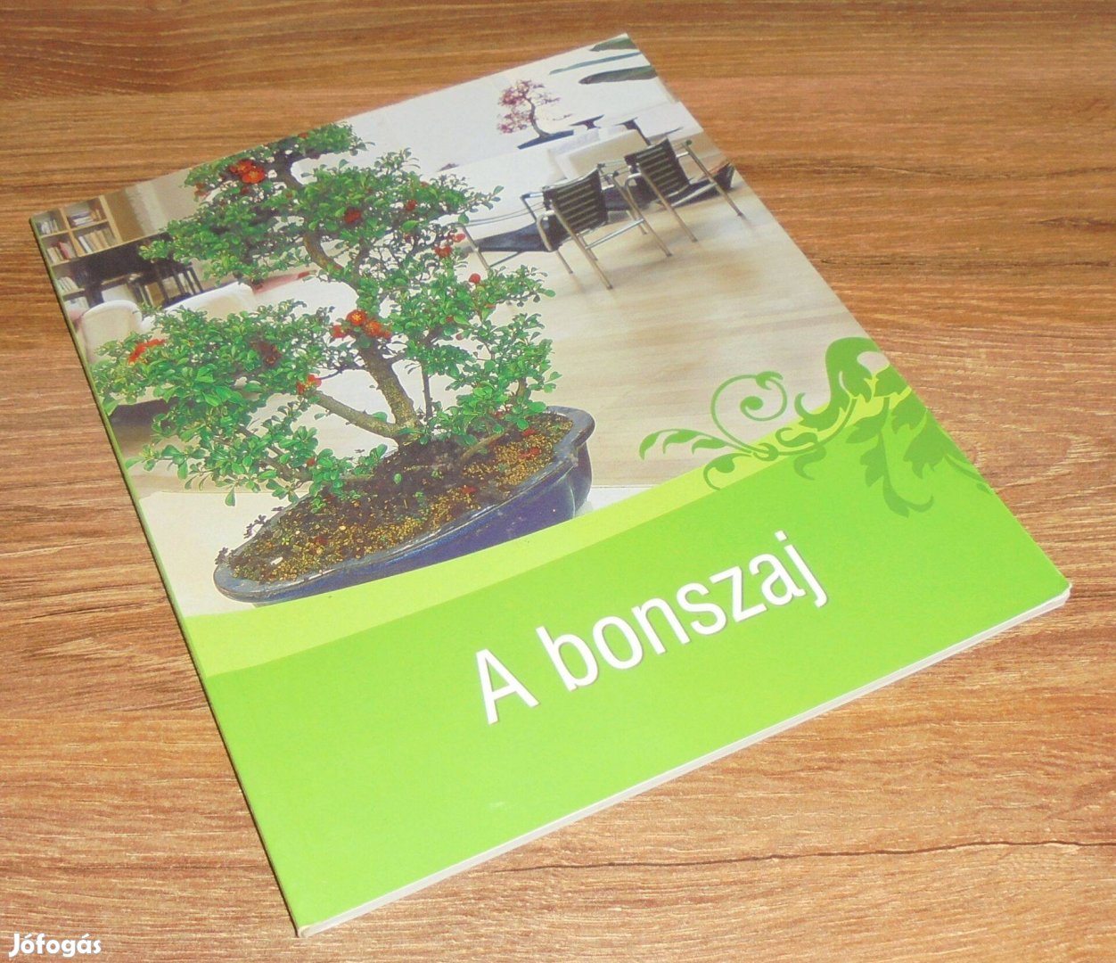 Tiziano Zanini: A bonszaj