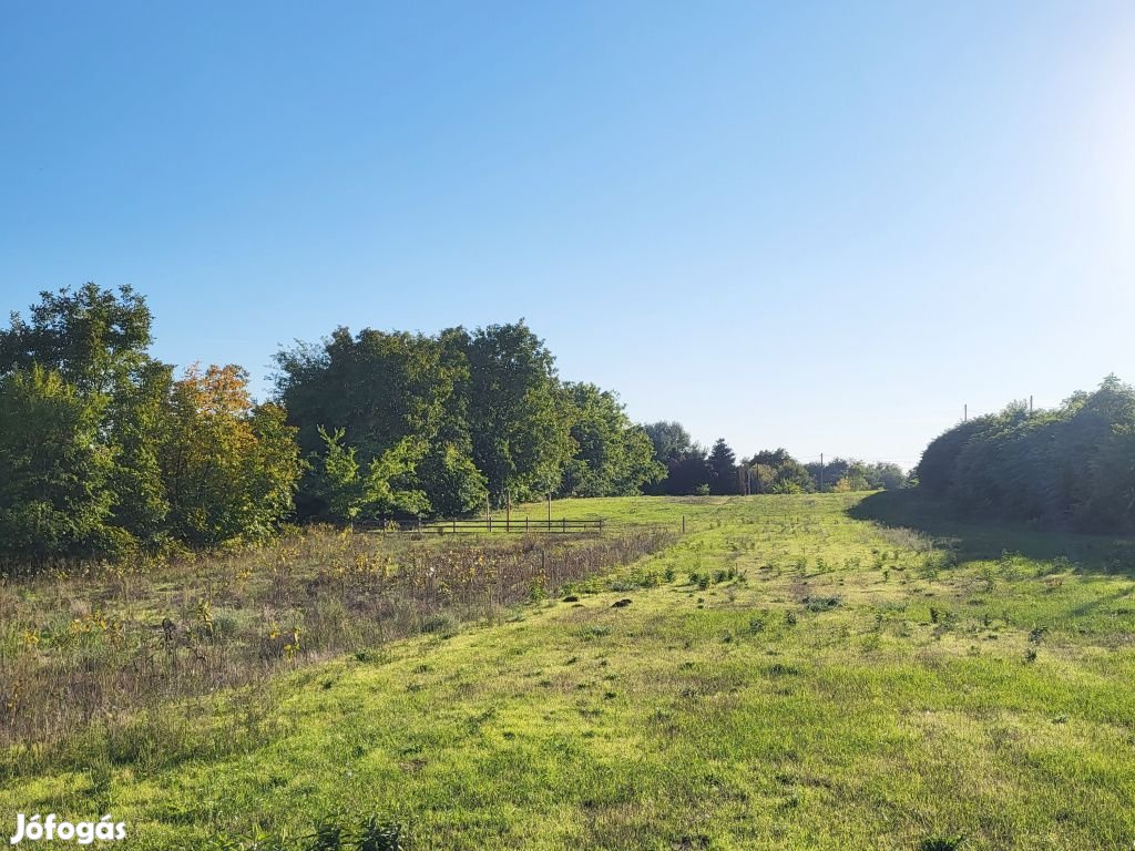 Tóalmás, Páskom dűlő, 5070 m2-es, telek