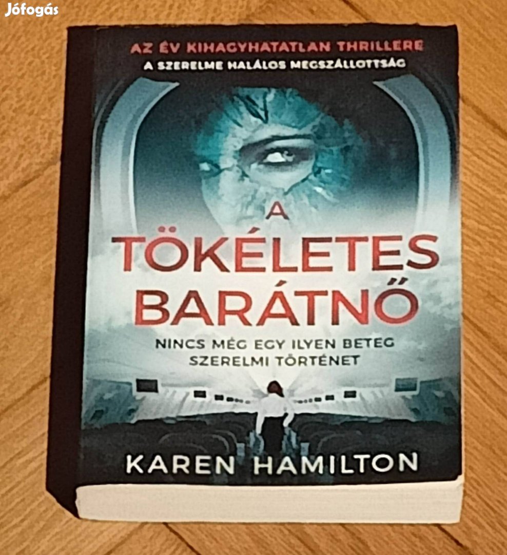 Tökéletes barátnő könyv Karen Hamilton 