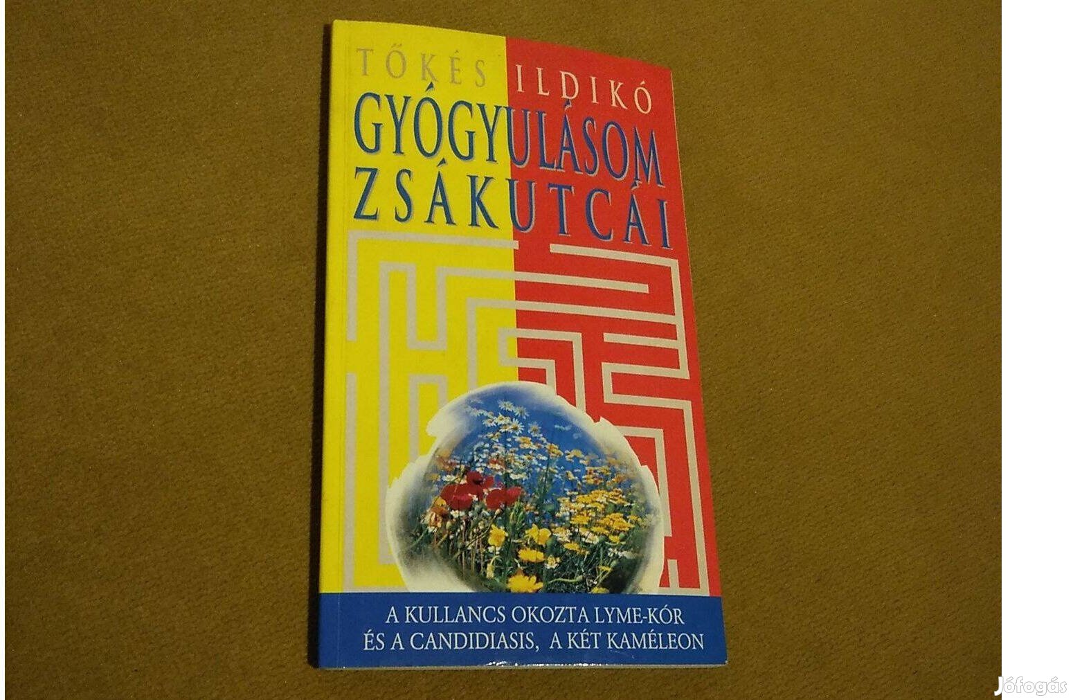 Tőkés Ildikó: Gyógyulásom zsákutcái