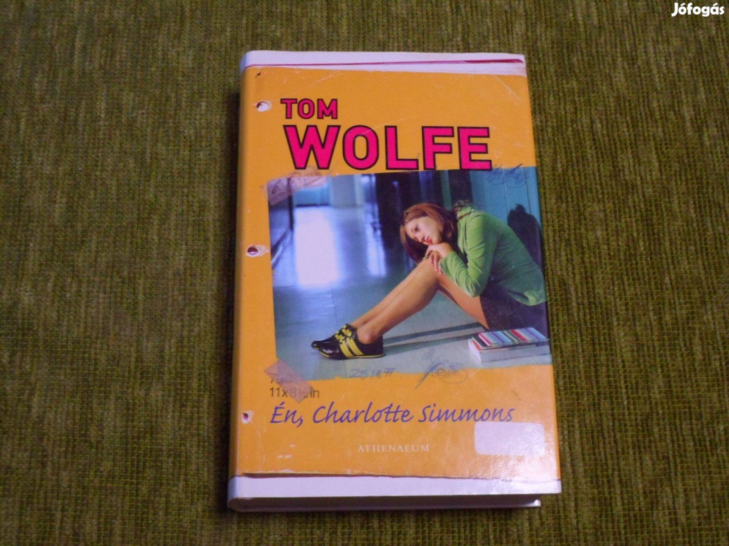 Tom Wolfe: En, Charlotte Simmons - erotikus regény