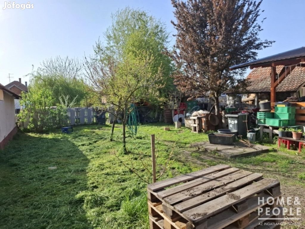 Tömörkényi Családi ház