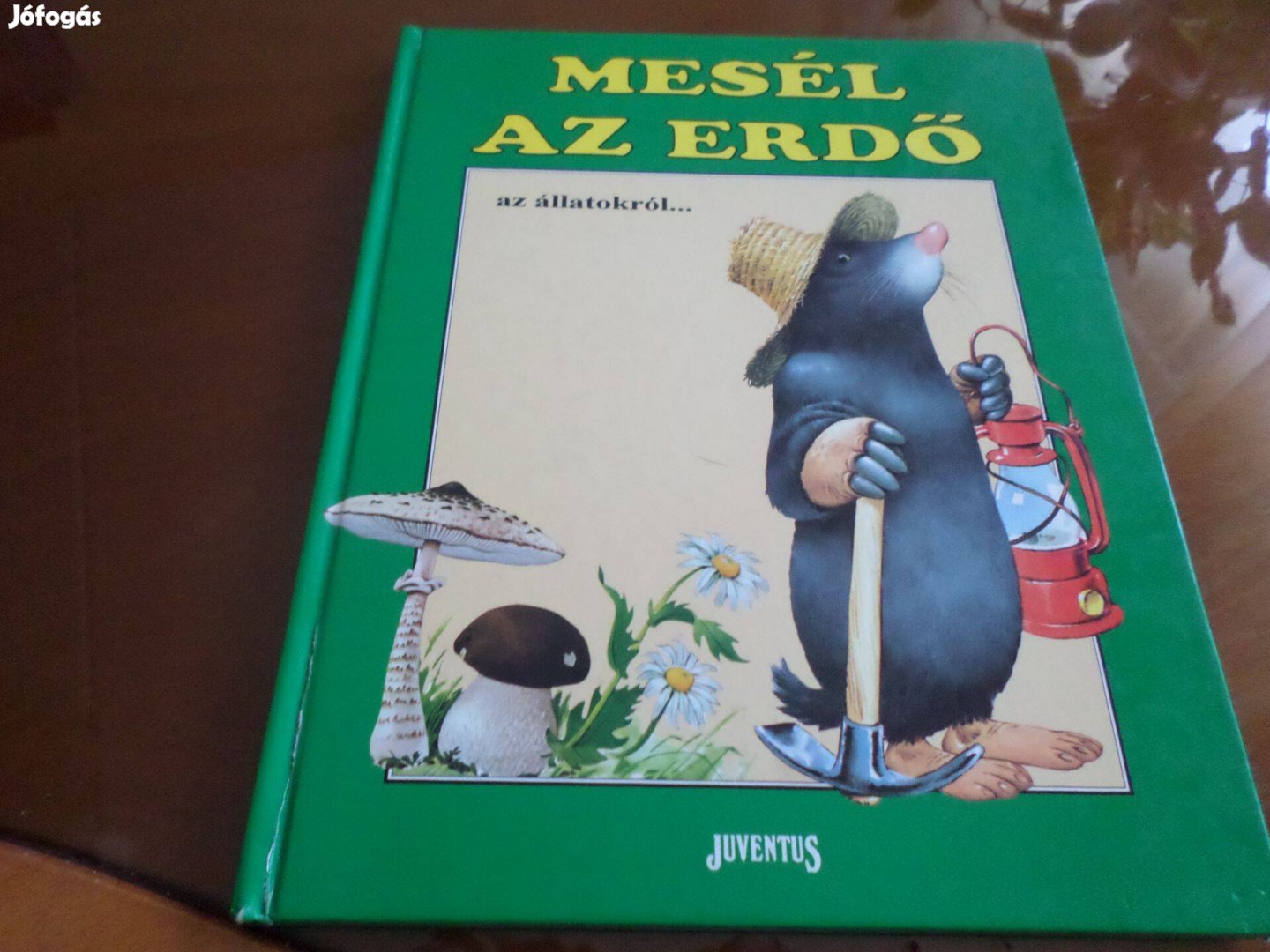 Tony Wolf Mesél Az Erdő az állatokról., Juventus, 1993 Gyermekkönyv