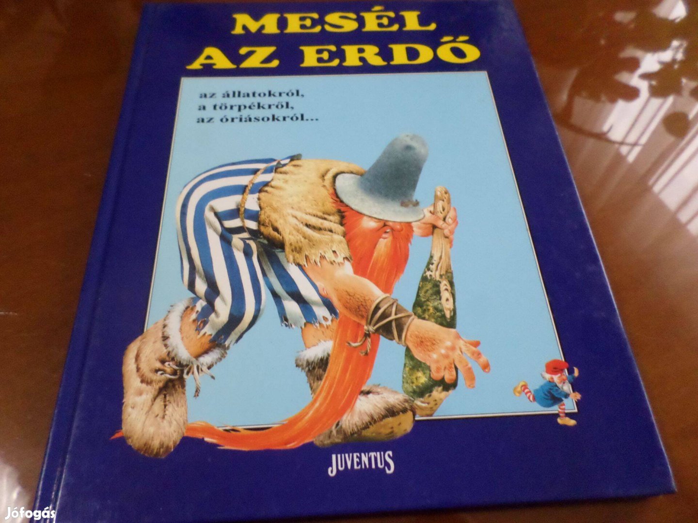 Tony Wolf Mesél Az Erdő az állatokról, törpékről.,