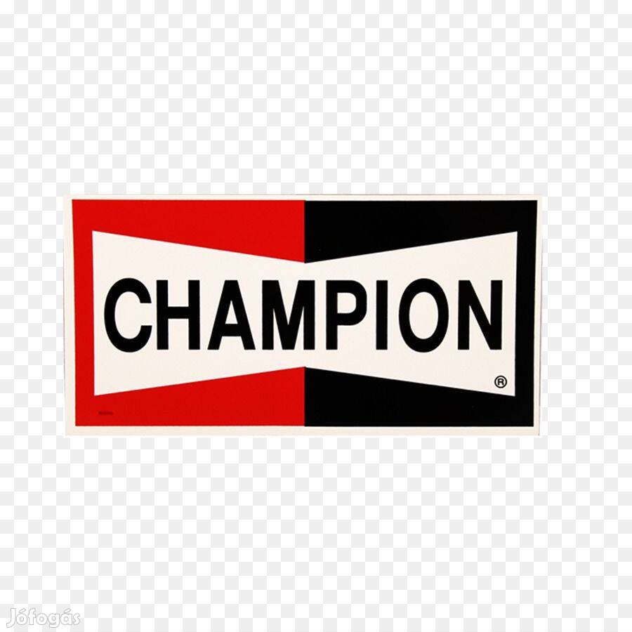 Törlőlapát Champion EF60/B01