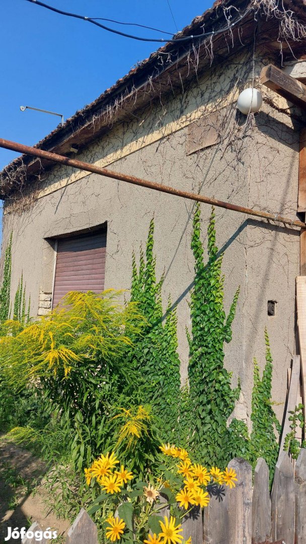 Tormásban felújítandó kis családi ház eladó