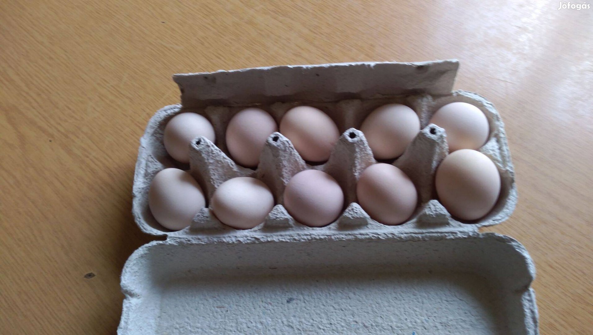 Törpe cochin tojás eladó Mendén
