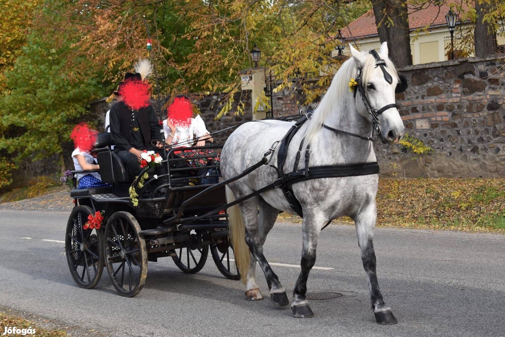Tóth Alajos jártató hintó maraton kocsi
