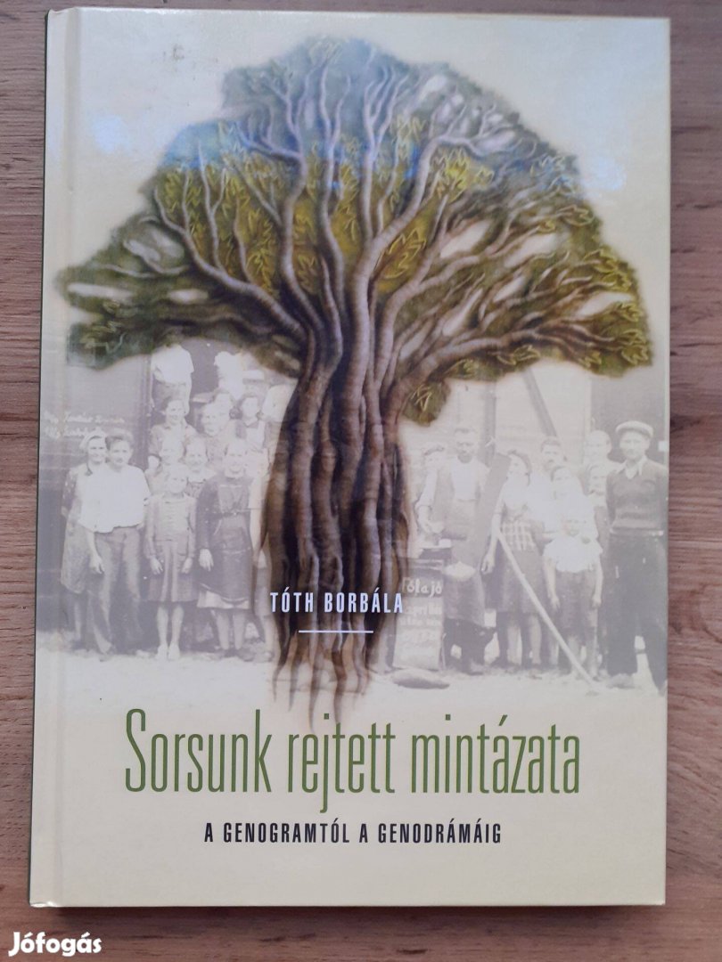 Tóth Borbála: Sorsunk rejtett mintázata