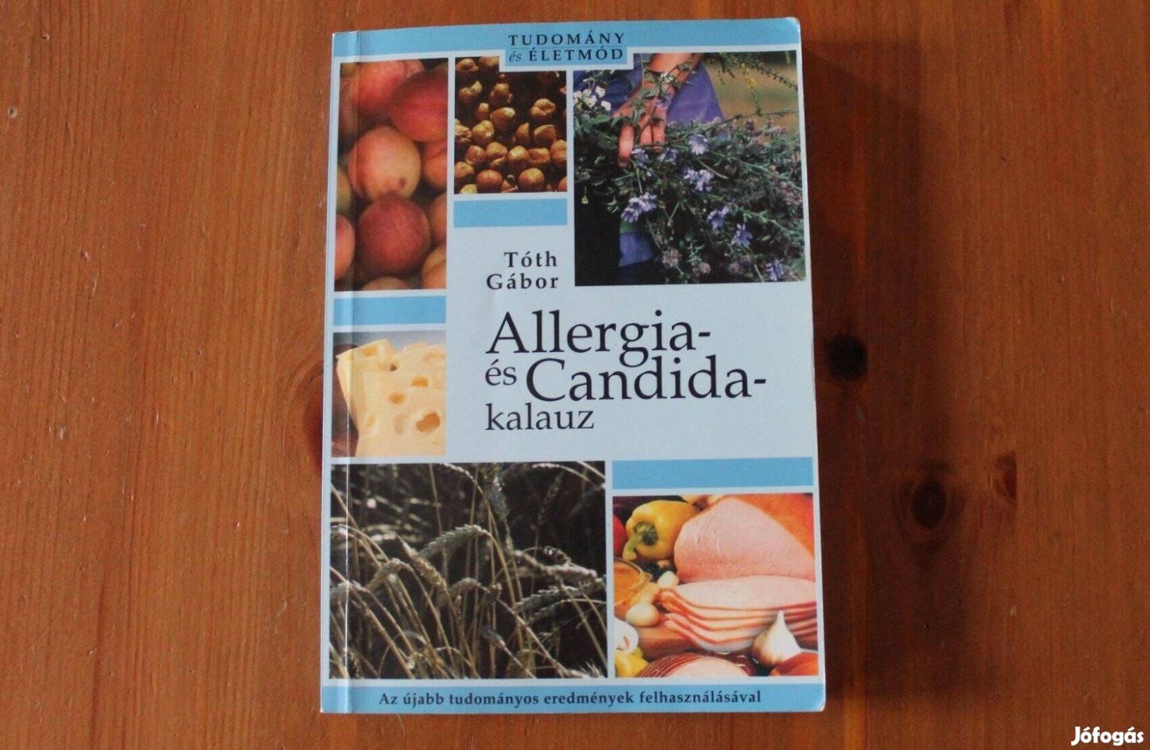 Tóth Gábor - Allergia és Candida kalauz