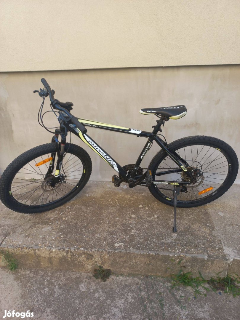 Toxik mountain bike