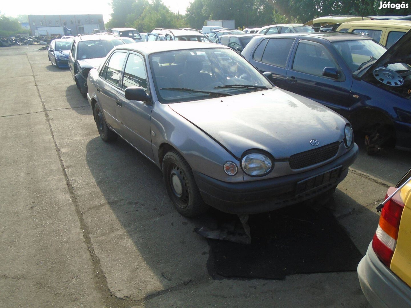 Toyota Corola