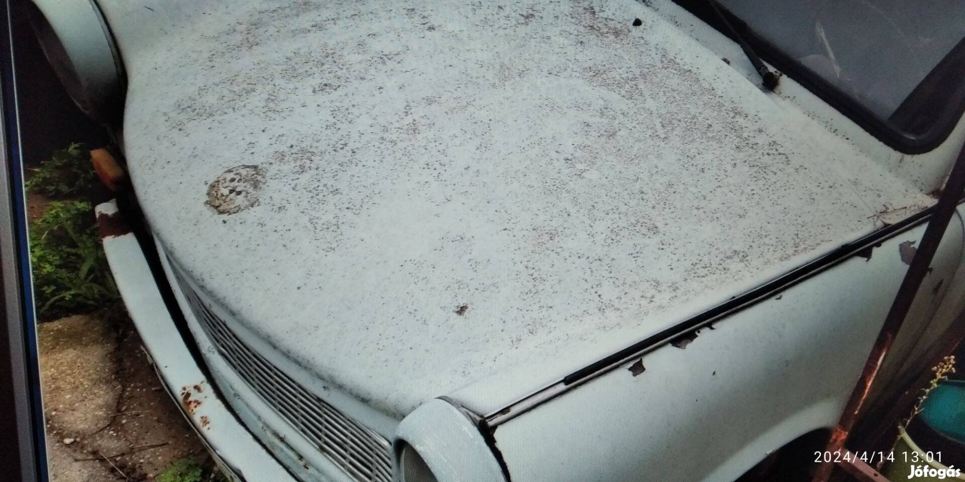 Trabant cobi