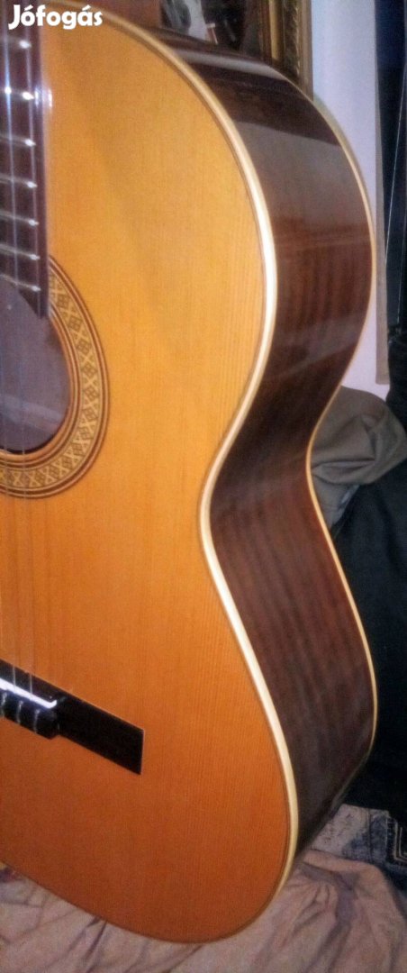 Trademark of Raimundo Constructor Deluxe gitár 