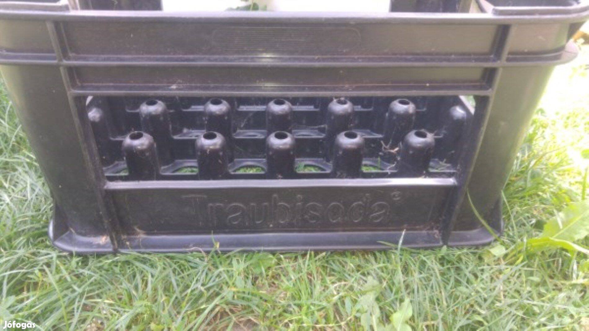 Traubisoda rekesz 24-es