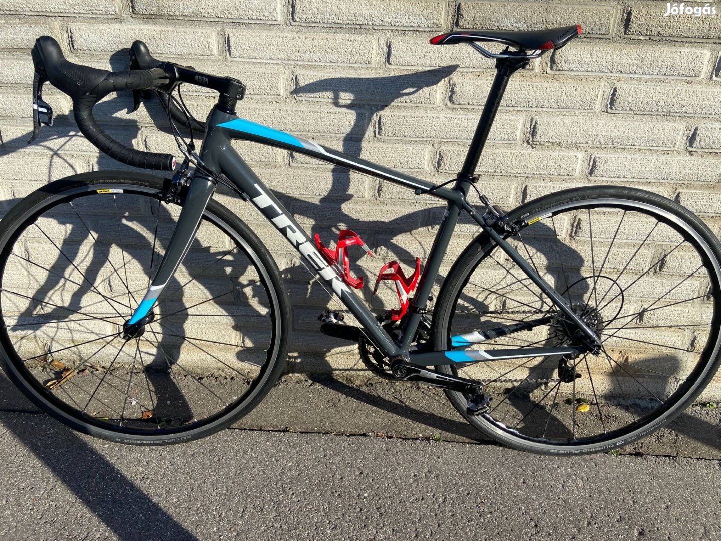 Trek Domane AL3