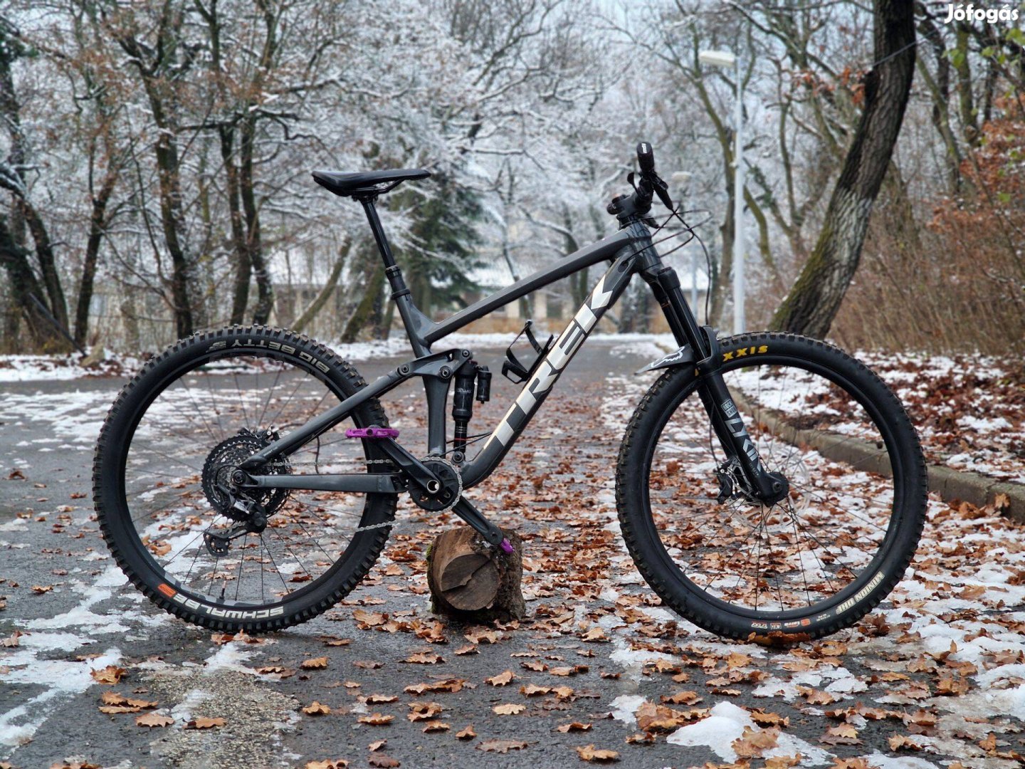 Trek Remedy 8