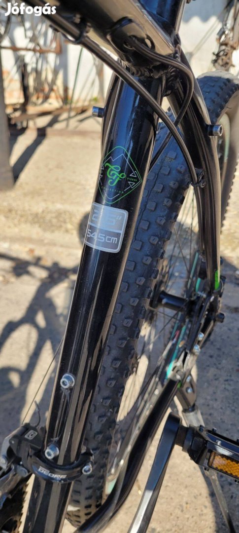 Trek mtb bicaj