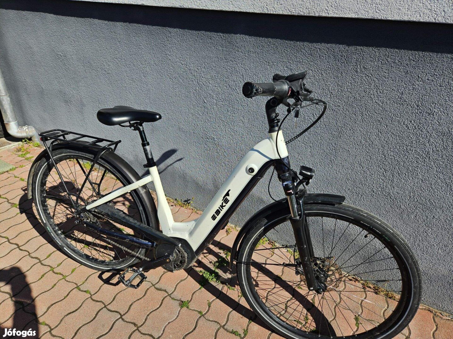 Trekking Bosch ebike