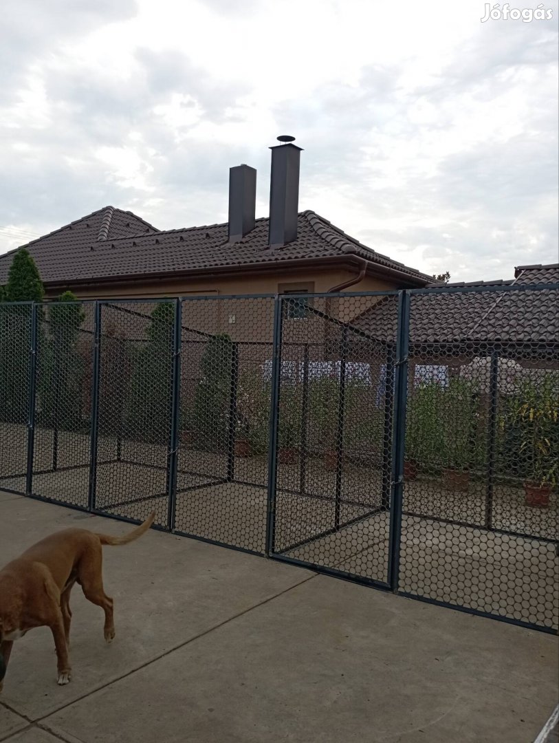 Tripla boxból álló kutya kennel (6*2m)