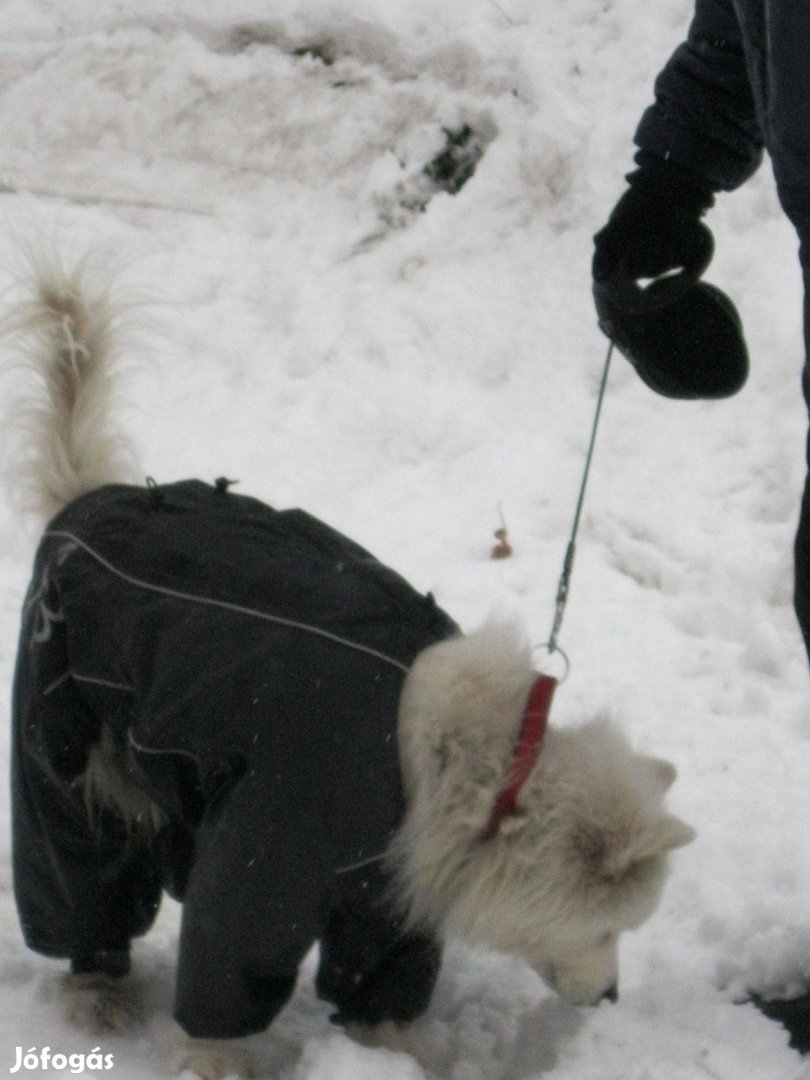 Trixi kutyaruha vízálló kezes lábas:esőtől-hótól teljesen megvéd 70cm