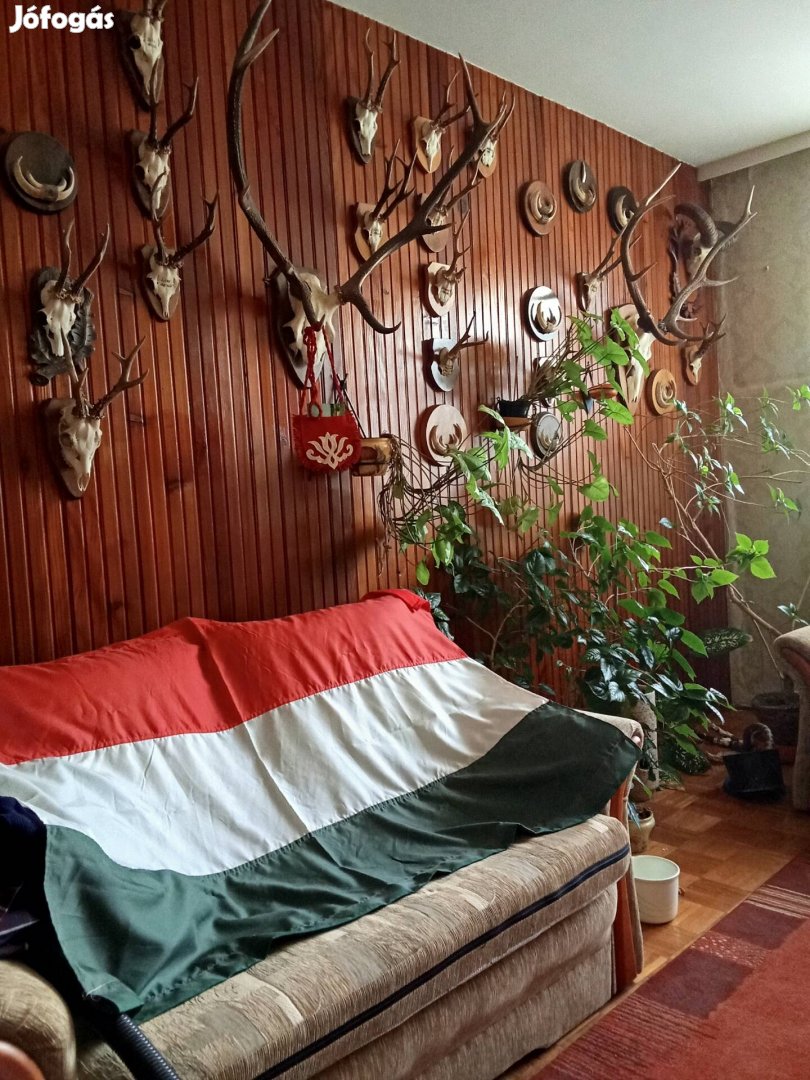 Trofeák gyűjtemény