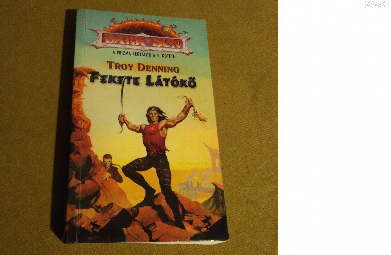 Troy Denning: Fekete Látókő