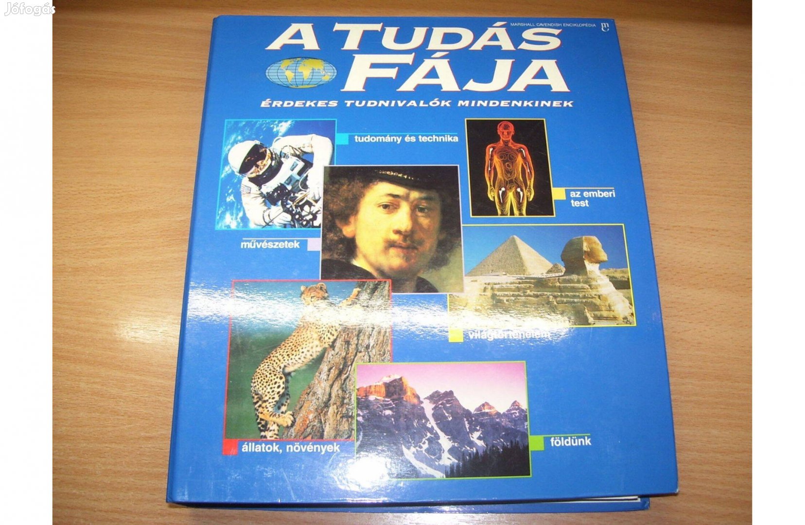 Tudás Fája - fél áron!