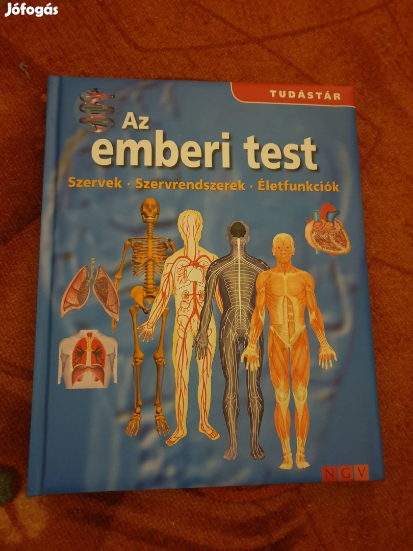 Tudástár-Az Emberi Test C. Könyv