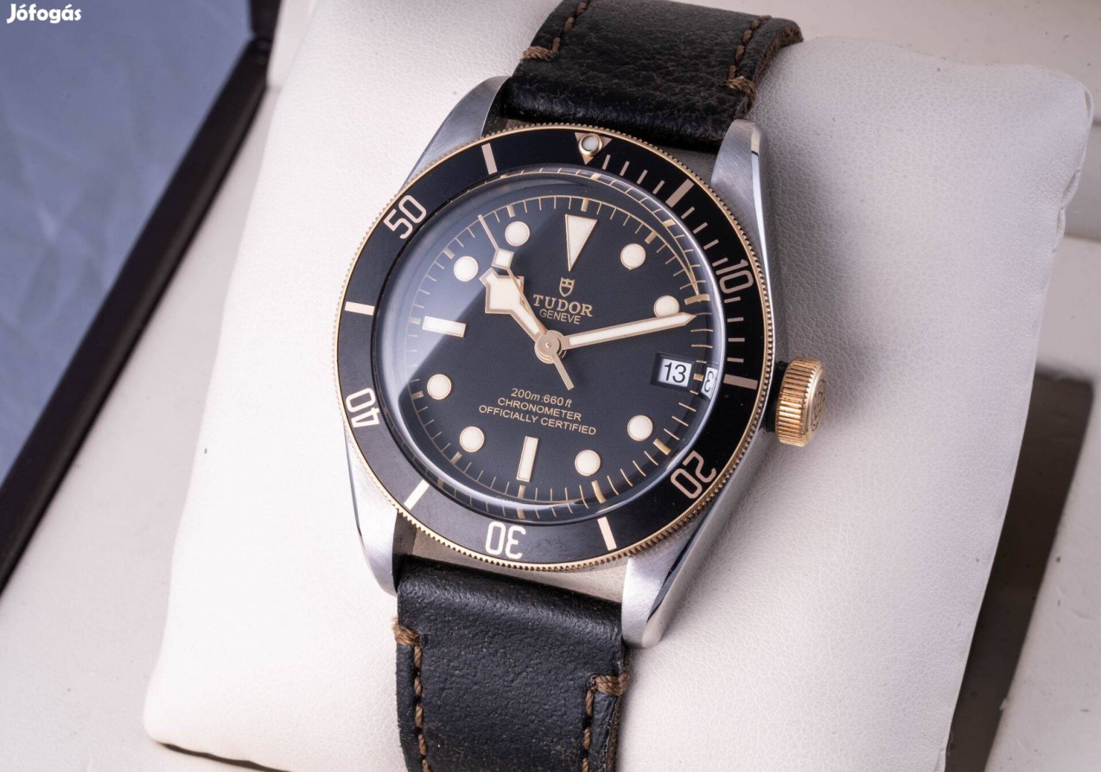 Tudor Black Bay