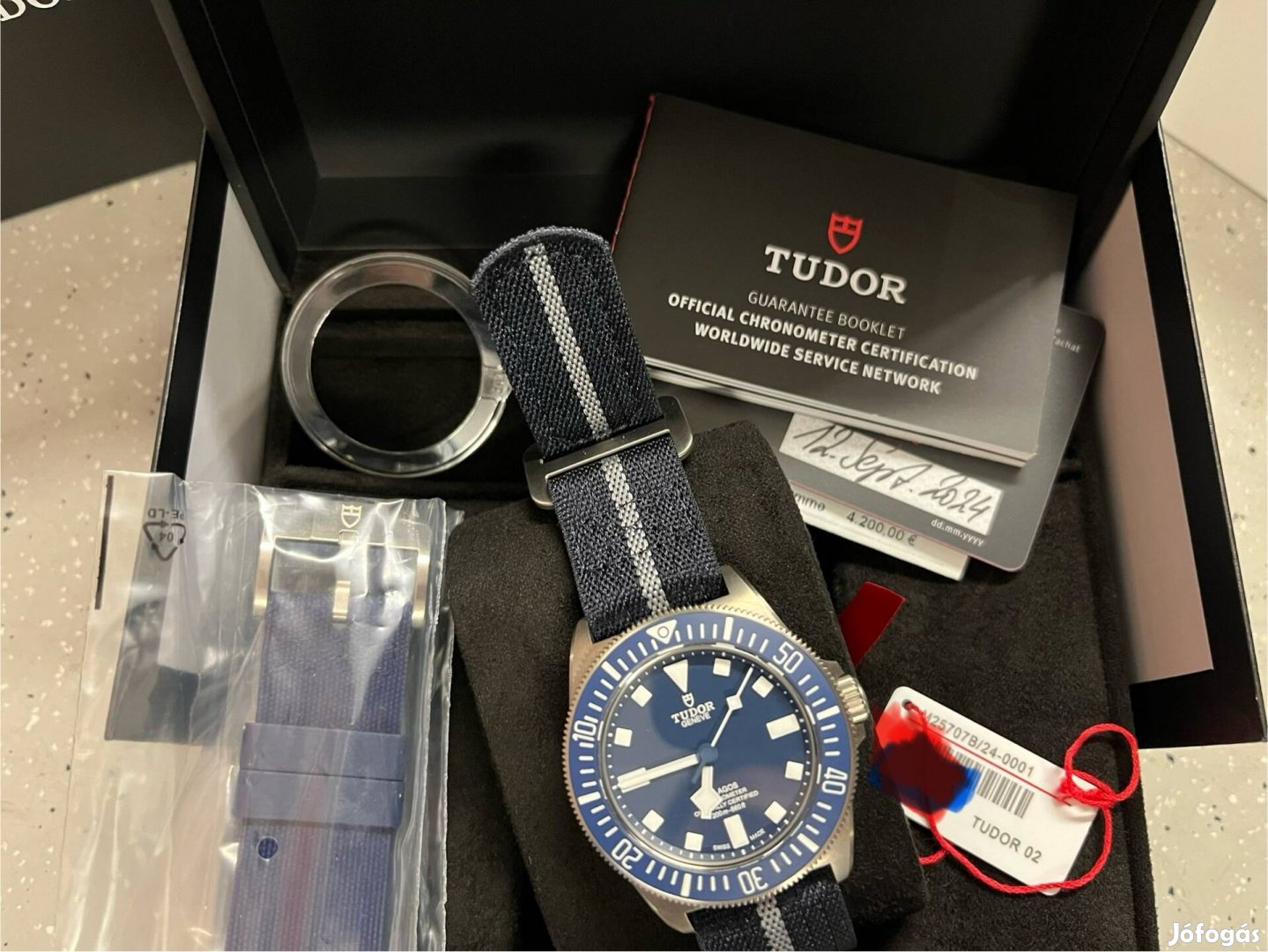 Tudor Pelagos Fxd