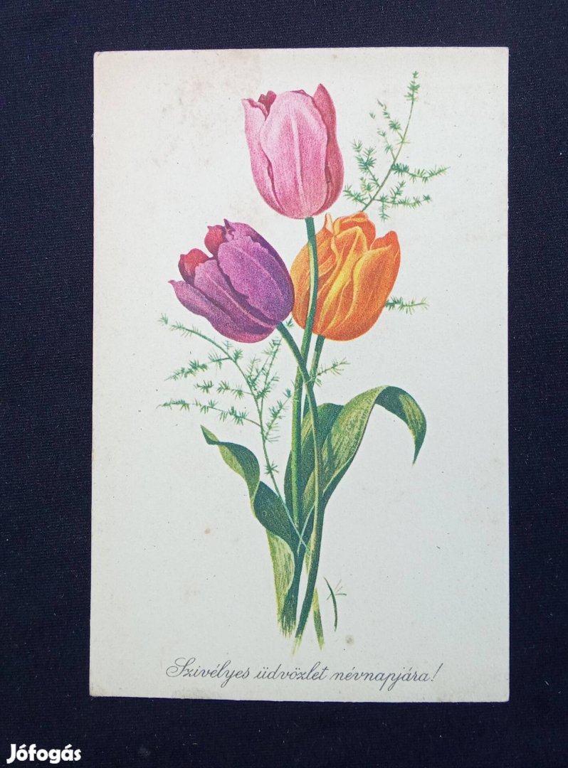 Tulipánok grafikai képeslap 1966.- Gönczi 