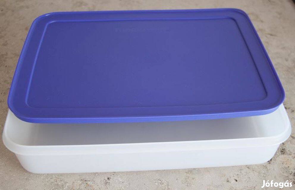 Tupperware Fagyasztó Társ 2,25L!