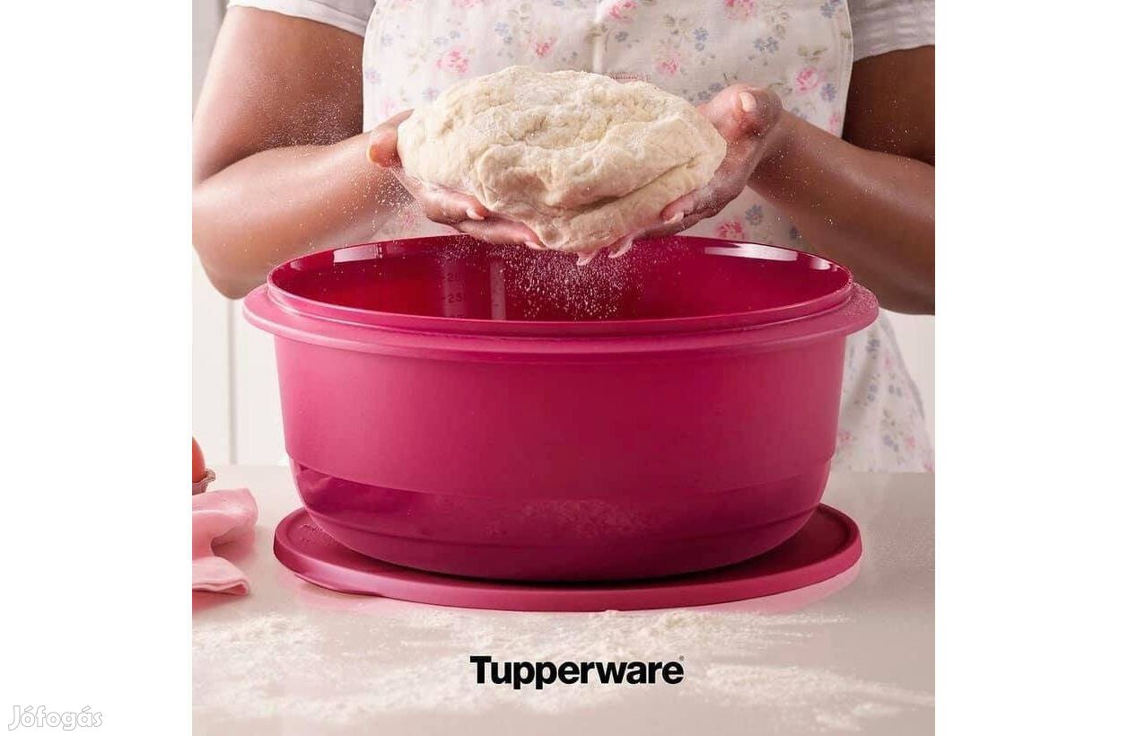 Tupperware Kelesztő Tál 6 L